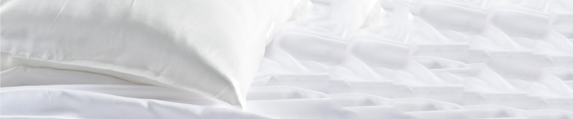 _img_banner